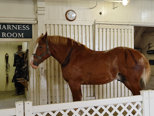 Tourist Attraction «Kentucky Horse Park», reviews and photos, 4089 Iron Works Pkwy, Lexington, KY 40511, USA