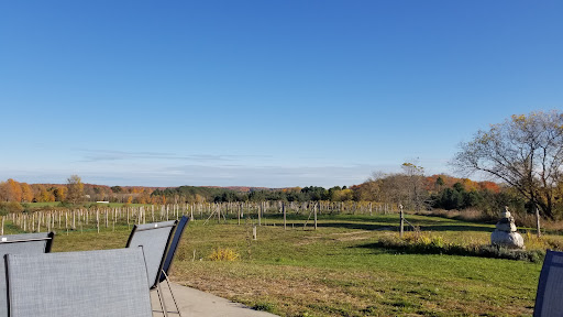 Winery «Walloon Lake Winery», reviews and photos, 3149 Intertown Rd, Petoskey, MI 49770, USA