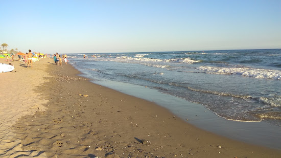 Playa De Zaragoza