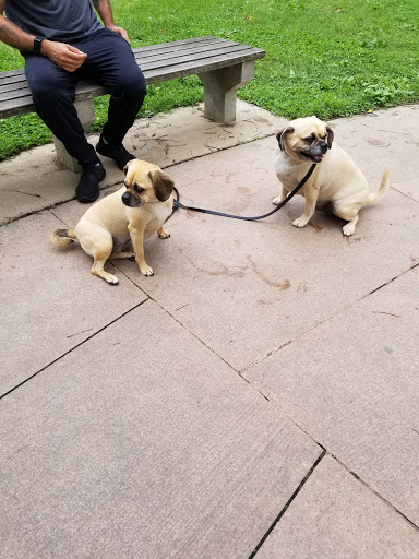 Monument «Washington Monument», reviews and photos, 2 15th St NW, Washington, DC 20024, USA