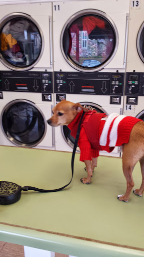 Laundromat «Rose Laundry», reviews and photos, 900 300 S, Salt Lake City, UT 84102, USA