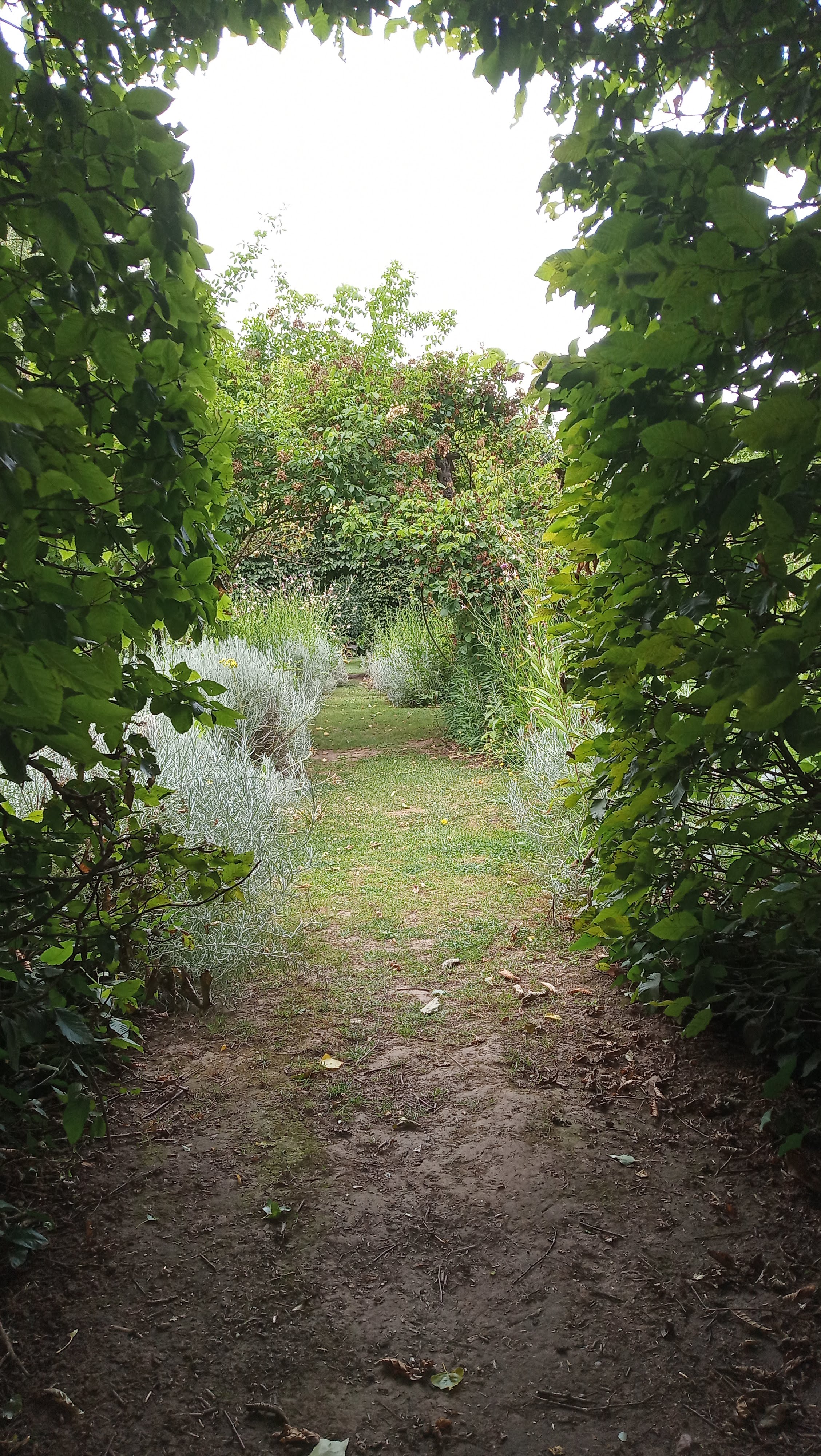 Photo n° 3 de l'avis de Olivier.a fait le 21/07/2023 à 15:12