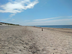 Foto av Skodbjerge Beach med lång rak strand