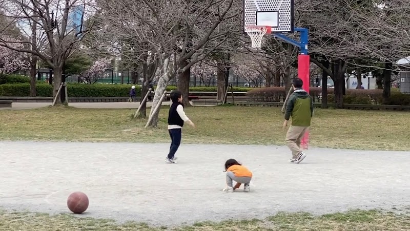 舎人公園ミニバスケットボールコート