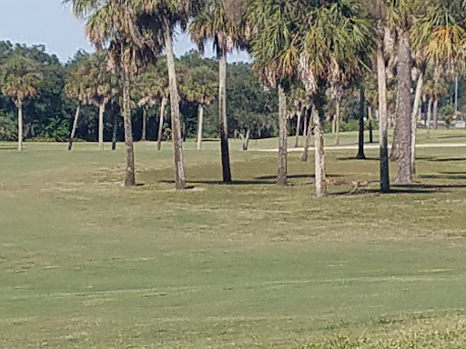 Golf Course «Tarpon Springs Golf Course», reviews and photos, 1310 S Pinellas Ave, Tarpon Springs, FL 34689, USA