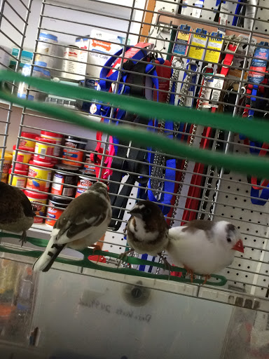 Pet Store «Mike Pet Center LLC», reviews and photos, 133 NJ-35, Neptune City, NJ 07753, USA