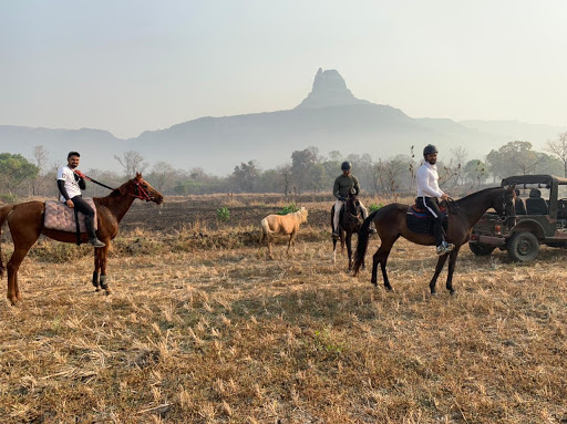 M R farms and horse riding center.