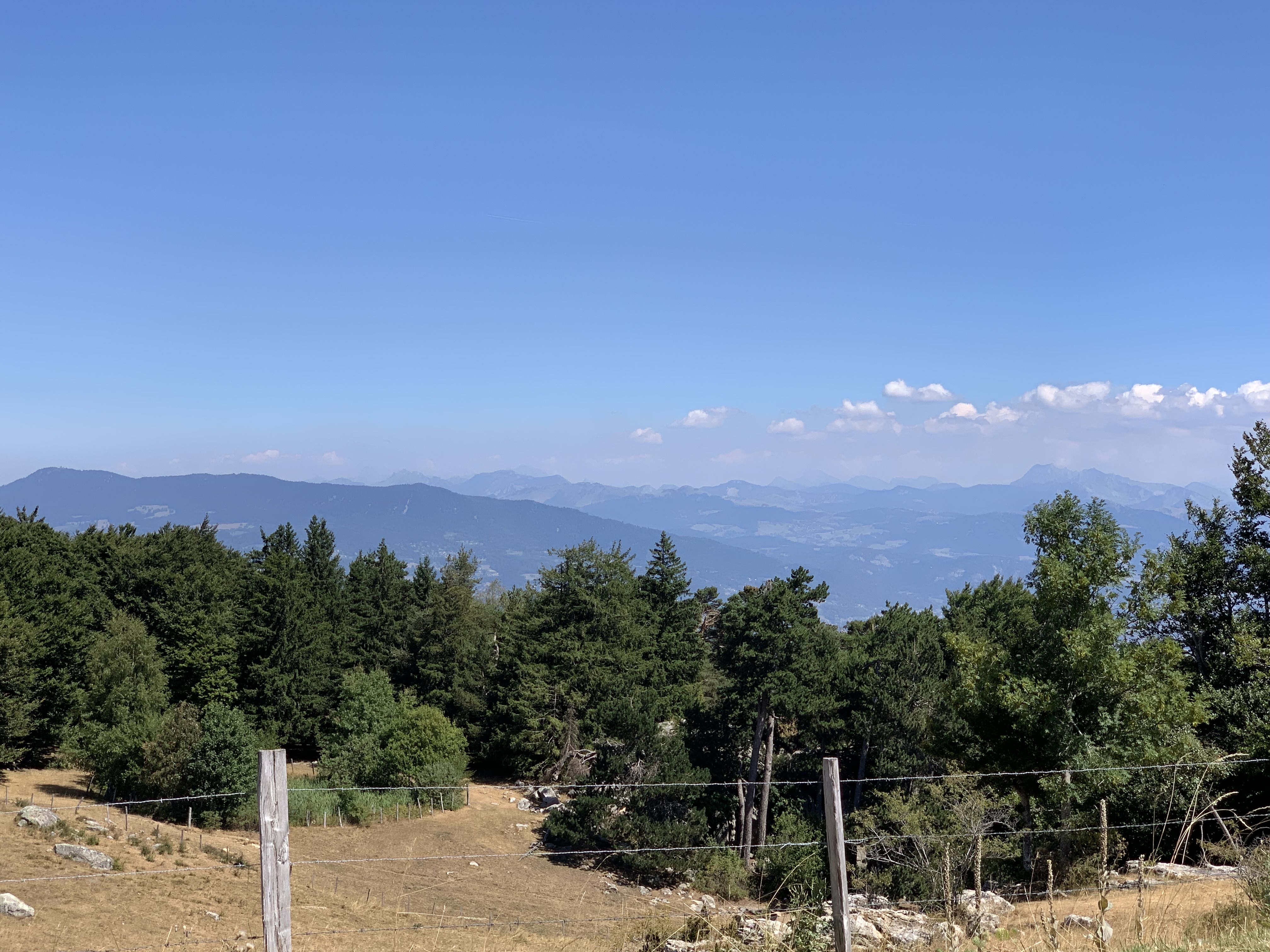 Photo n° 2 de l'avis de Wil.o fait le 12/08/2022 à 20:29