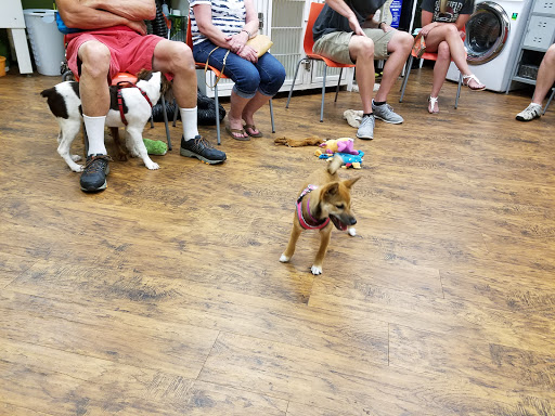 Pet Supply Store «EarthWise Pet Supply», reviews and photos, 7316 Yankee Rd, Liberty Township, OH 45044, USA