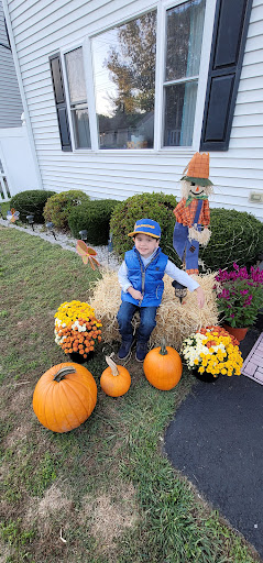 Garden Center «Sixteen Acres Garden Center», reviews and photos, 1359 Wilbraham Rd, Springfield, MA 01119, USA