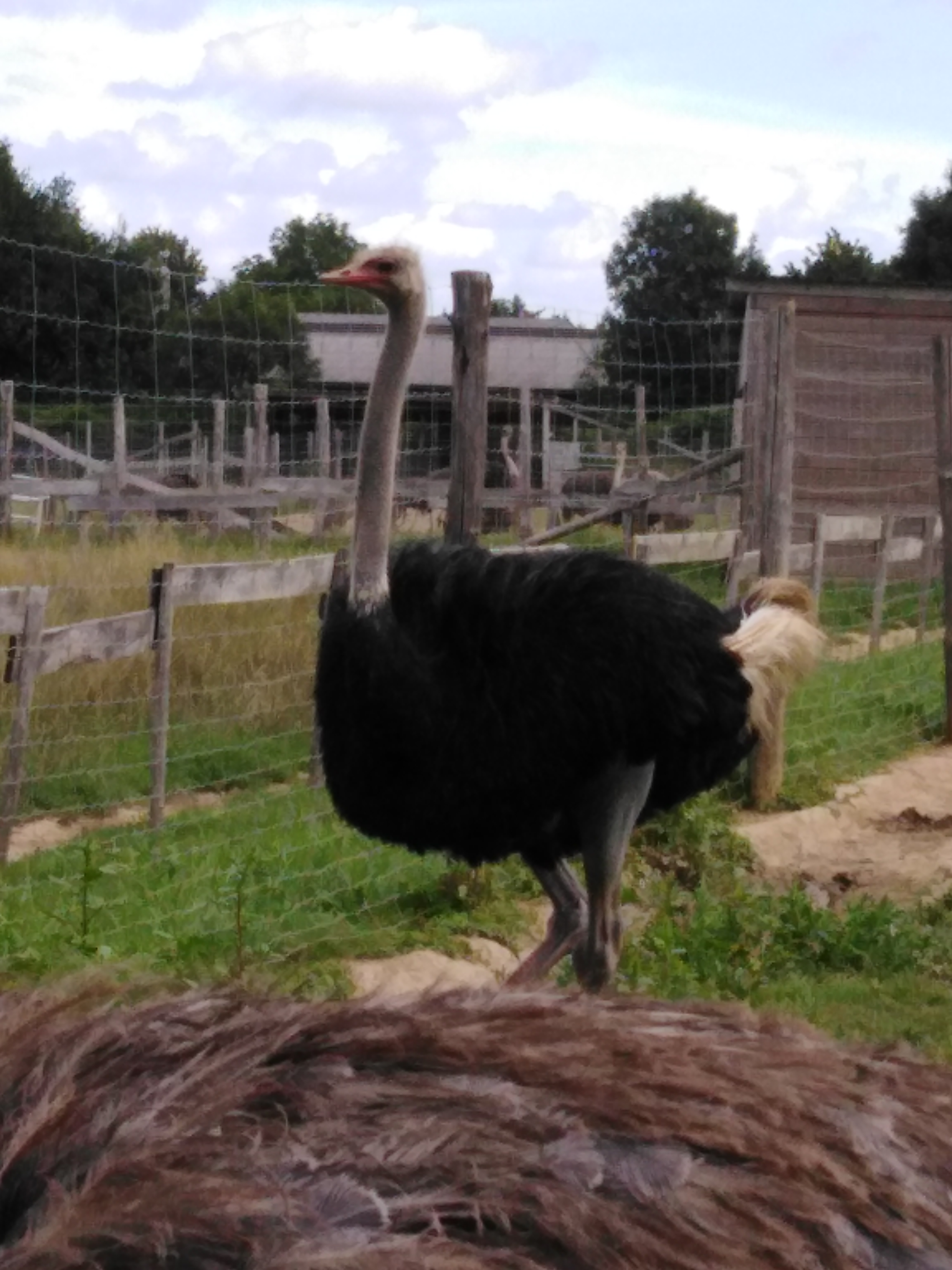 Photo n° 3 de l'avis de Isa.9 fait le 30/07/2021 à 05:26