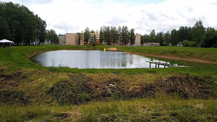 Lociki