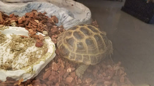 Pet Supply Store «PetSmart», reviews and photos, 30515 Av. de Las Flores, Rancho Santa Margarita, CA 92688, USA