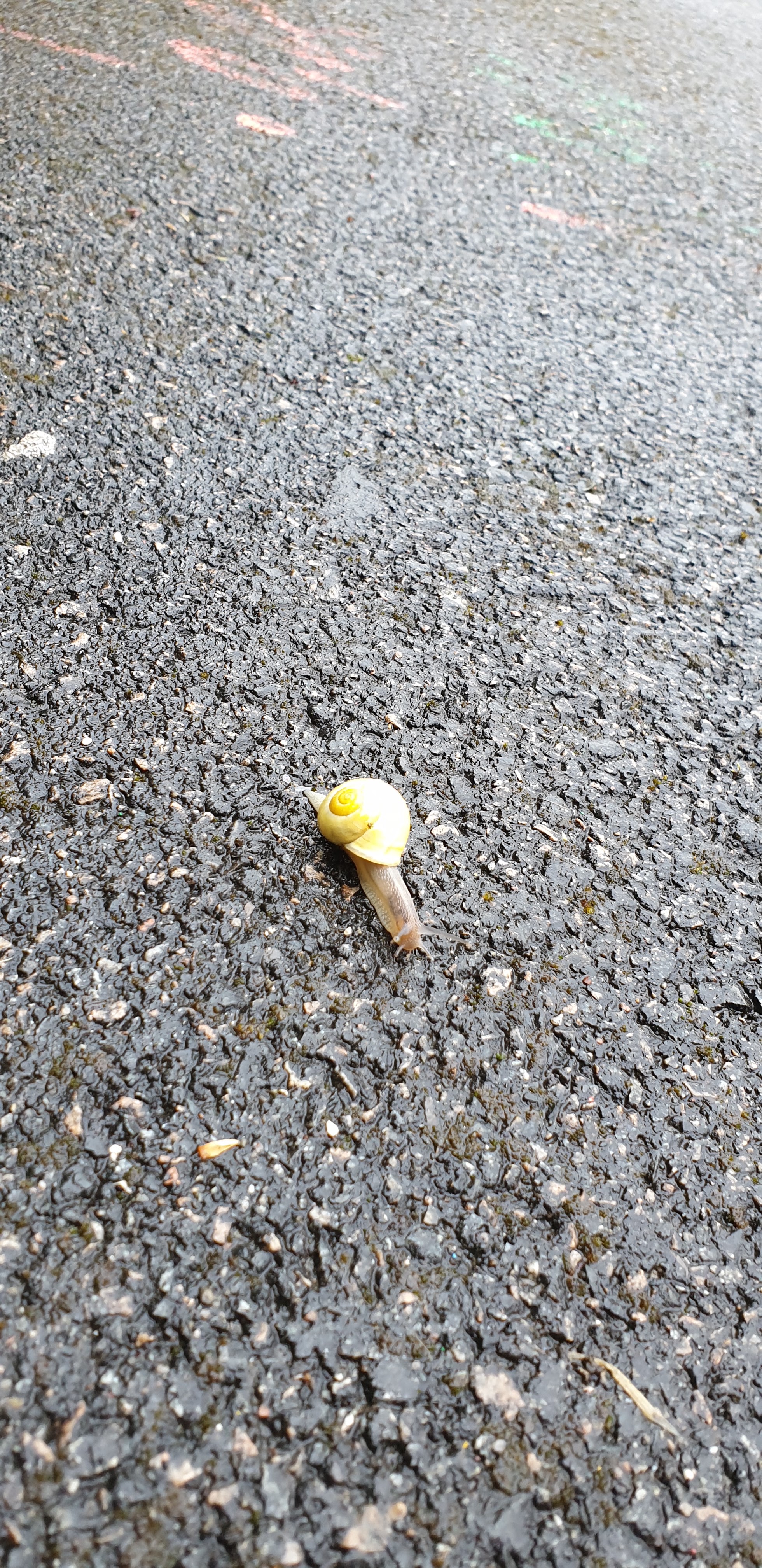 Photo n° 2 de l'avis de repessé.a fait le 29/04/2023 à 03:24