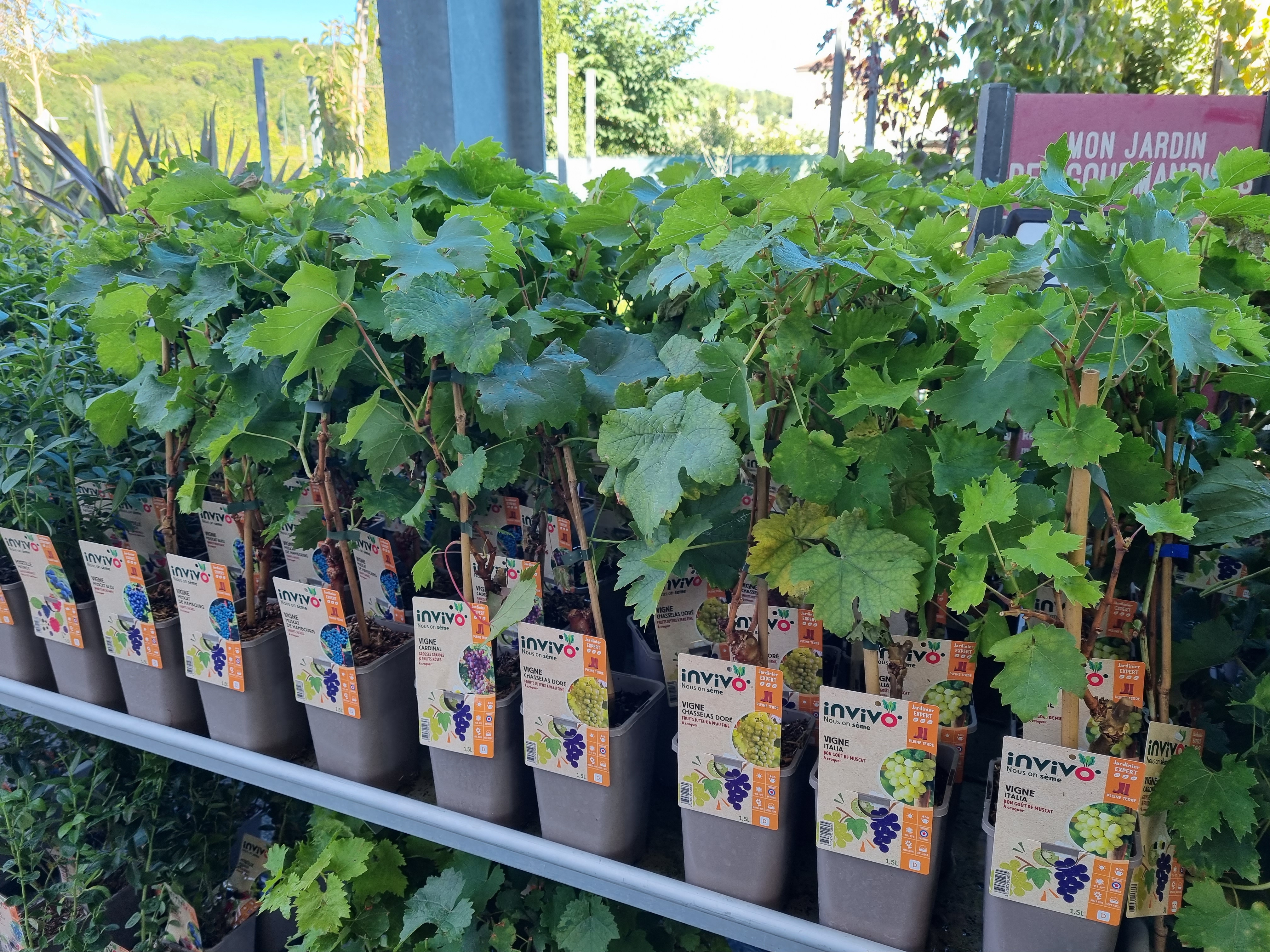 Photo n° 6 de l'avis de Laurent.u fait le 21/09/2022 à 19:14