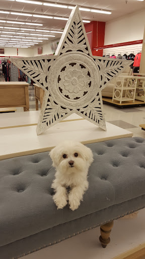 Department Store «HomeGoods», reviews and photos, 344 W Army Trail Rd, Bloomingdale, IL 60108, USA