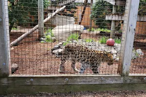 Capron Park Zoo image