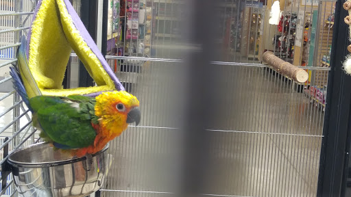 Pet Supply Store «PetSmart», reviews and photos, 2925 Lancaster Dr NE, Salem, OR 97305, USA