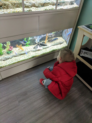 Pet Store «The Pet Store», reviews and photos, 1710 Lincoln Way E #18, Chambersburg, PA 17202, USA