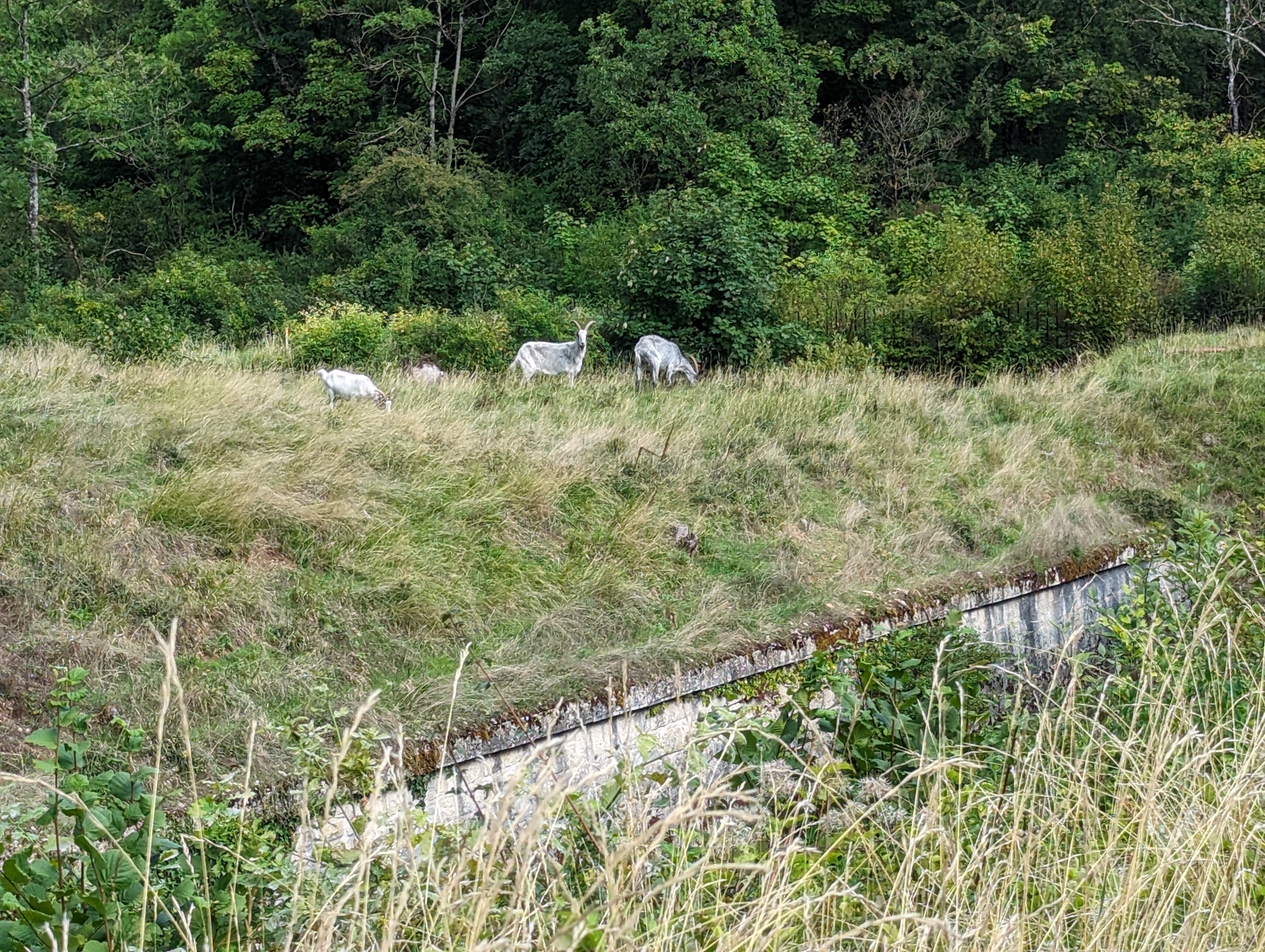 Photo n° 4 de l'avis de Marion.o fait le 14/08/2023 à 17:27