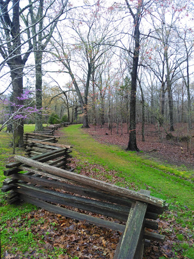 Monument «Meriwether Lewis Monument», reviews and photos, Old Natchez Trace, Hohenwald, TN 38462, USA