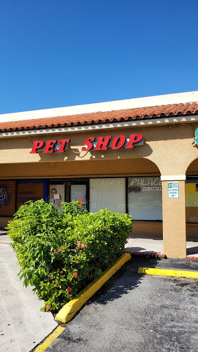 Animal Palace Pet Center, 10780 W Flagler St Ste 7, Miami, FL 33174, USA, 