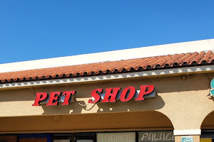 BubaPet - Pet Store