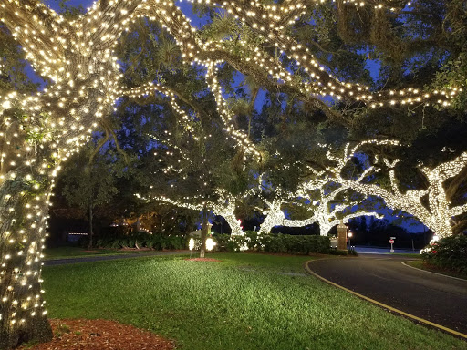 Nature Preserve «Pine Island Ridge Natural Area», reviews and photos, 3900 SW 100th Ave, Davie, FL 33328, USA