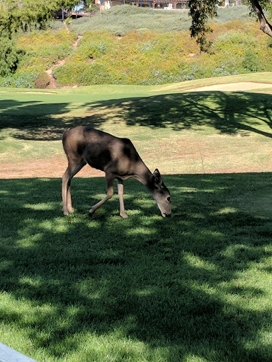 Golf Course «Simi Hills Golf Course», reviews and photos, 5031 Alamo St, Simi Valley, CA 93063, USA