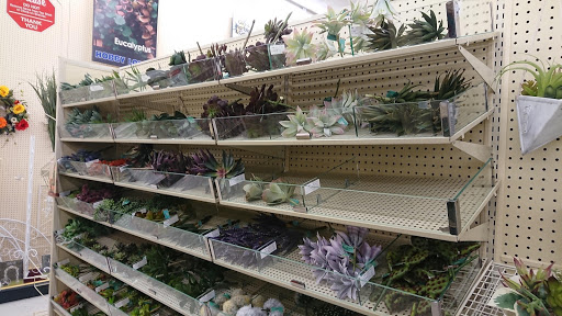 Craft Store «Hobby Lobby», reviews and photos, 11711 Princeton Pike #255, Springdale, OH 45246, USA