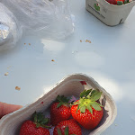 Photo n°1 de l'avis de Pano.a fait le 01/05/2024 à 09:26 sur le  Kebap Palast à Rostock