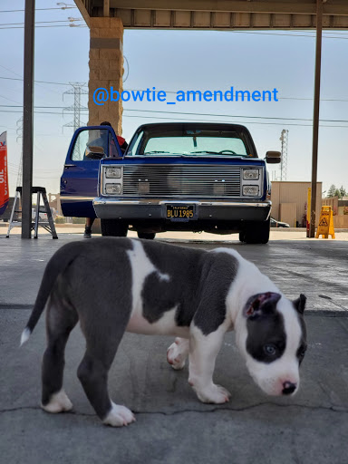 Car Wash «Crossroad Hand Car Wash», reviews and photos, 6541 White Ln, Bakersfield, CA 93309, USA