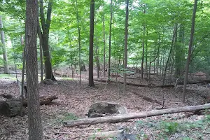 Buttermilk Falls County Park image