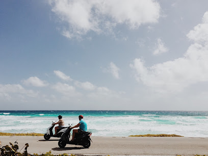 Rent a scooter - Cancun scooter