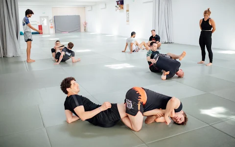 Jiu Jitsu Club Darmstadt e.V. image
