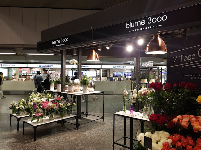 Kommentare und Rezensionen über blume 3000 | Zürich Flughafen Airport Center
