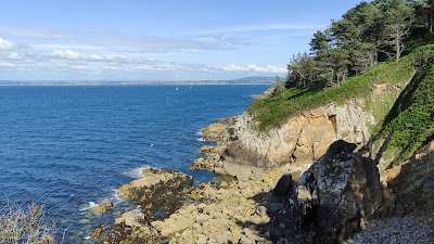 Roses blanches à Douarnenez