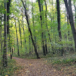 Photo n° 5 de l'avis de Reviewer.A fait le 12/11/2022 à 07:45 pour Forêt départementale du Belvédère à Chamarande