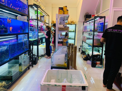 Top 20 cửa hàng thủy sinh Quận Tân Phú Hồ Chí Minh 2022