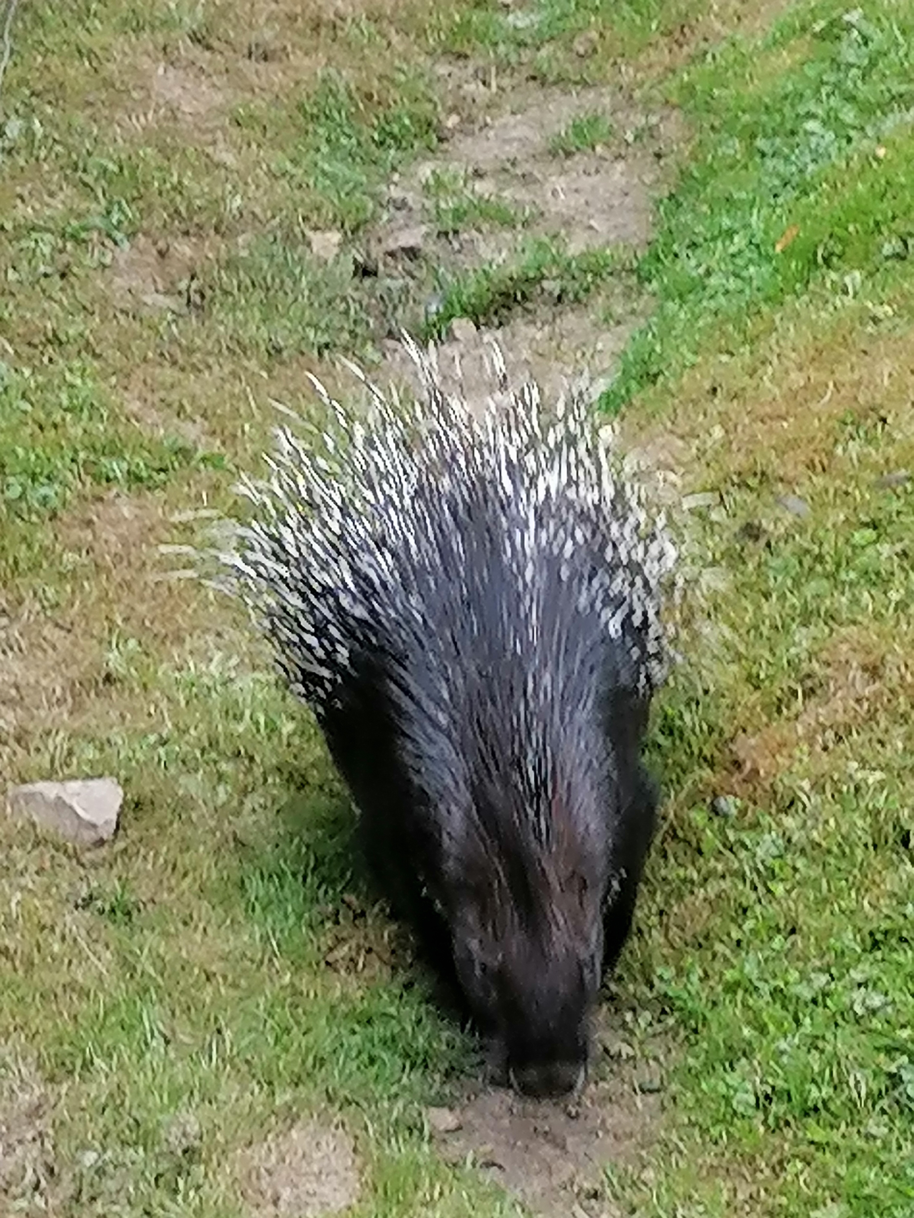 Photo n° 17 de l'avis de francis.o fait le 26/08/2021 à 14:27