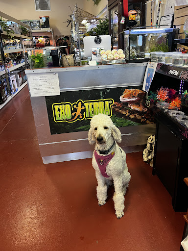 Arizona Exotics and Aquatics