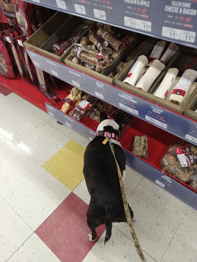 Pet Supply Store «Petco Animal Supplies», reviews and photos, 848 N Colony Rd c, Wallingford, CT 06492, USA