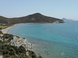 Paralia Panagia Geranou'in fotoğrafı vahşi alan