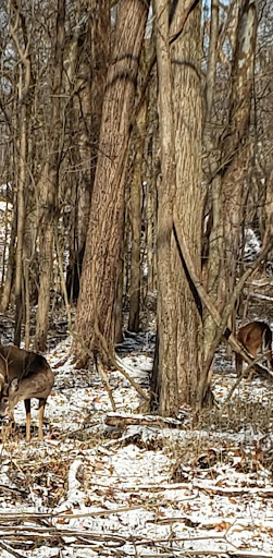 Park «Joe Creason Park», reviews and photos, 1297 Trevilian Way, Louisville, KY 40213, USA