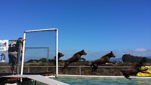 Pet Supply Store «The Farm Store», reviews and photos, 3956 Jacobs Ave, Eureka, CA 95501, USA