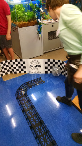 Pet Supply Store «Petco Animal Supplies», reviews and photos, 30697 US Hwy 19 N, Palm Harbor, FL 34684, USA