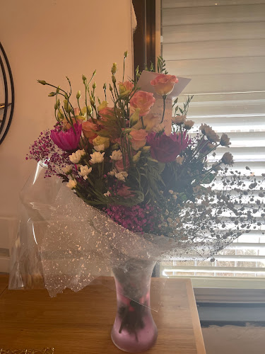 Comentarii opinii despre פרחי אביסון