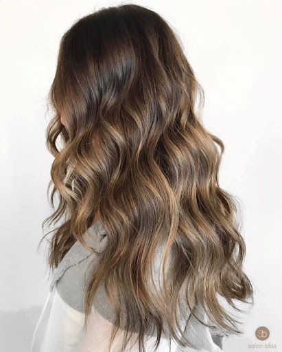 Beauty Salon «Salon Bliss», reviews and photos, 1126 S Rochester Rd, Rochester Hills, MI 48307, USA