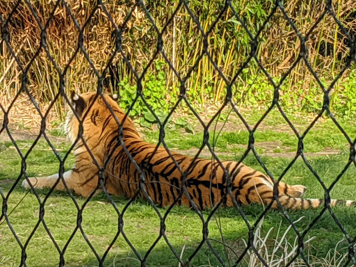 Park «Franklin Park», reviews and photos, 1 Franklin Park Rd, Boston, MA 02121, USA