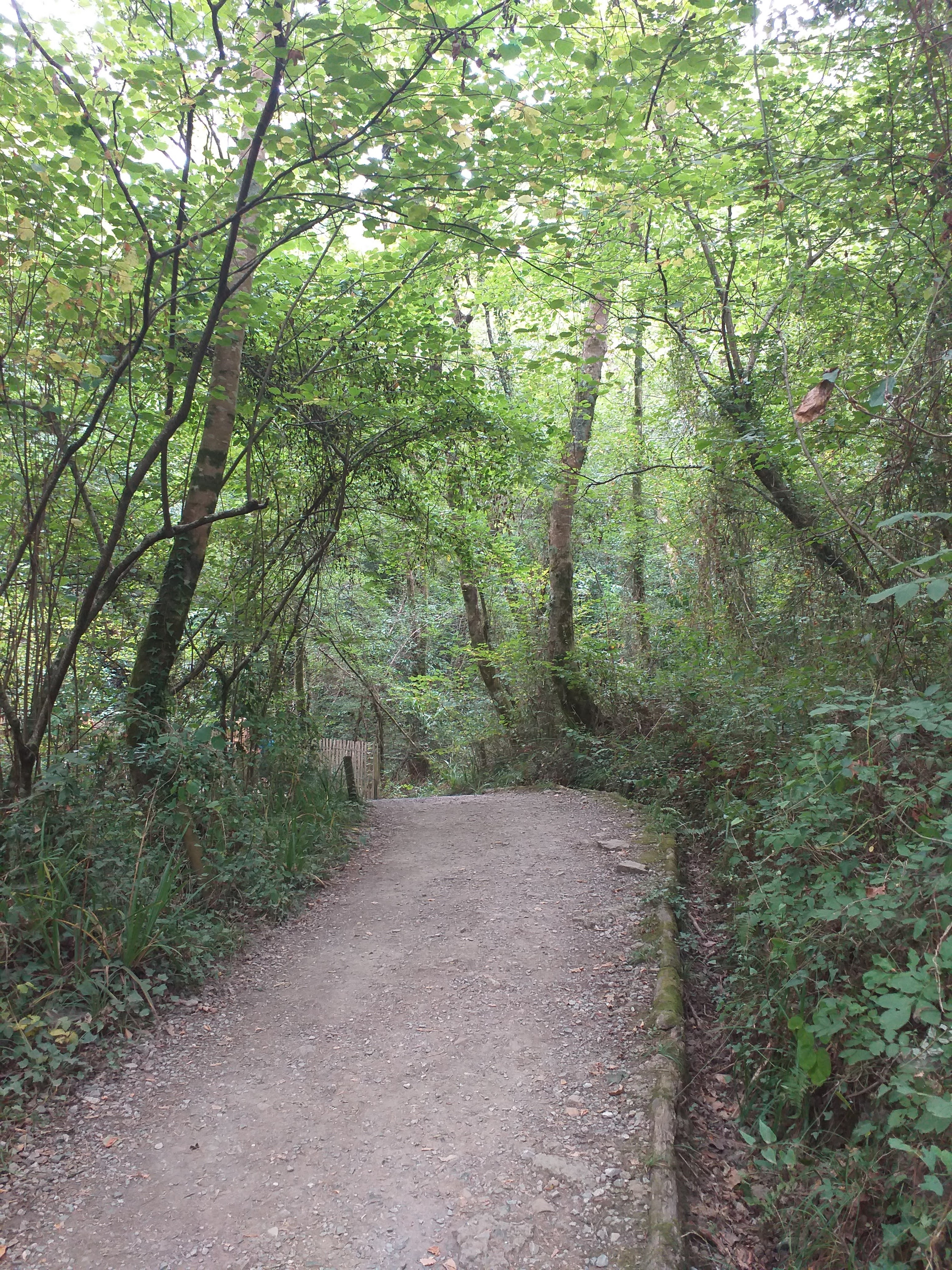 Photo n° 13 de l'avis de Isabel.e fait le 12/08/2022 à 13:40